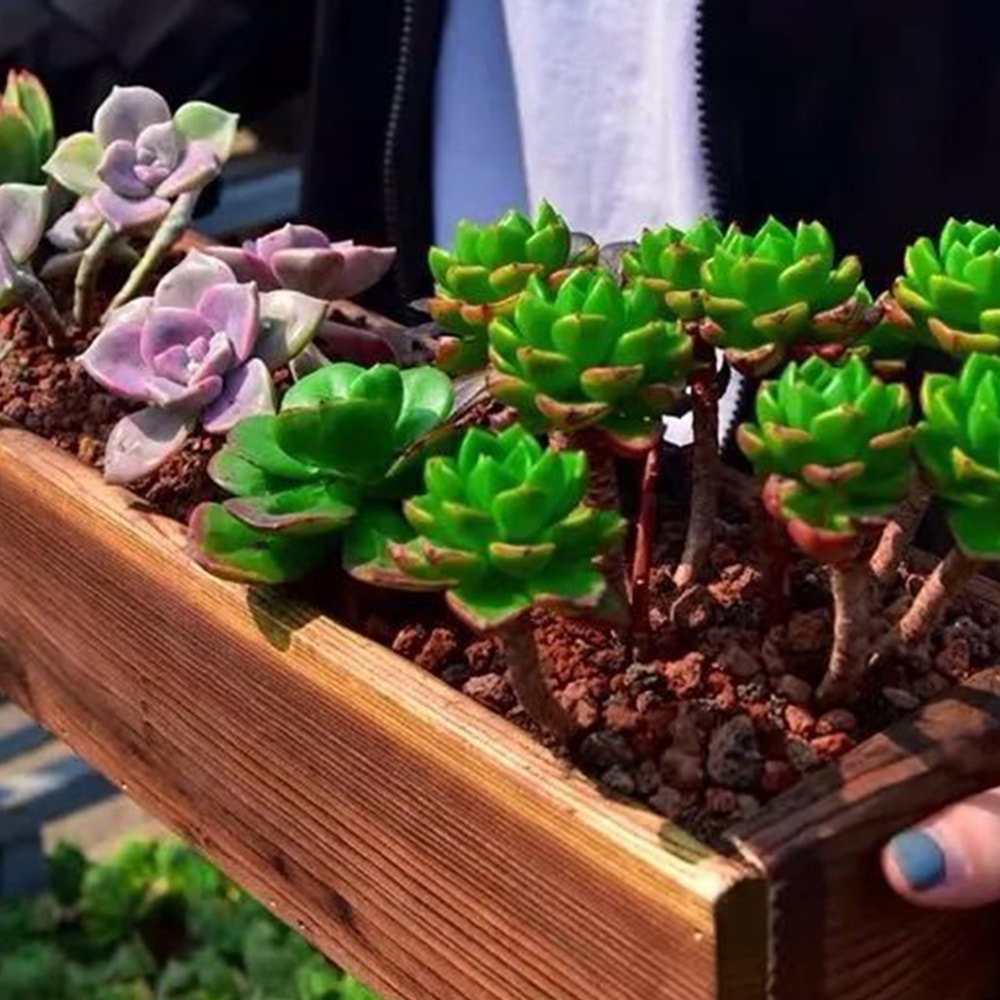 Rustic Wooden Planter Box For Succulents Decorative Outdoor Flower Pot 2