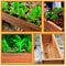 Rustic Wooden Planter Box For Succulents Decorative Outdoor Flower Pot 4
