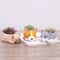 Cute Dog Succulent Planter Pot Mini Bonsai Desk Decor For Dog Lovers 0