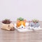 Cute Dog Succulent Planter Pot Mini Bonsai Desk Decor For Dog Lovers 0