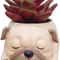 Cute Dog Succulent Planter Pot Mini Bonsai Desk Decor For Dog Lovers 4