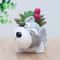 Cute Schnauzer Succulent Planter Dog Flower Pot Decorative Desk Plant Holder 0