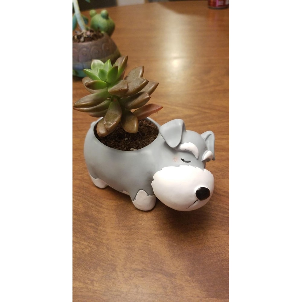 Cute Schnauzer Succulent Planter Dog Flower Pot Decorative Desk Plant Holder 1