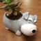 Cute Schnauzer Succulent Planter Dog Flower Pot Decorative Desk Plant Holder 1