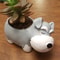 Cute Schnauzer Succulent Planter Dog Flower Pot Decorative Desk Plant Holder 1
