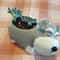 Cute Schnauzer Succulent Planter Dog Flower Pot Decorative Desk Plant Holder 2