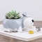 Cute Schnauzer Succulent Planter Dog Flower Pot Decorative Desk Plant Holder 3
