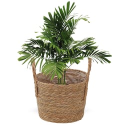 handwoven seagrass planter basket rustic wicker plant pot with handles for indoor outdoor decor