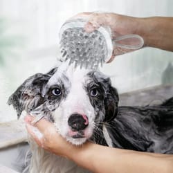 silicone scalp massager shampoo brush dandruff removal hair scrubber