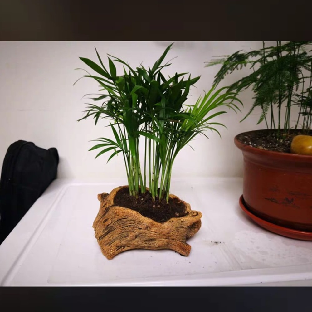 Retro Tree Stump Succulent Planter Rustic Cement Flower Pot for Home Decor