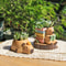 Capybara Succulent Planter Mini Resin Animal Flower Pot For Desk Decor 1