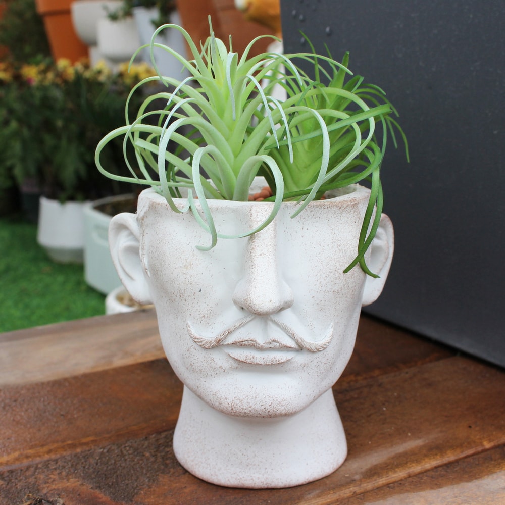 Personalized Face Planter Pot With Mustache Funny Resin Flower Pot For Home Decor 6
