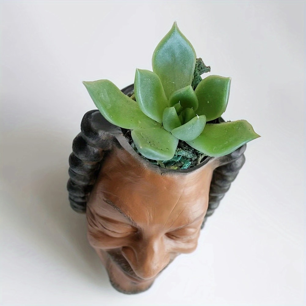 Creative Face Planter Pot Decorative Resin Succulent Planter For Indoor Garden Decor 3