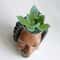 Creative Face Planter Pot Decorative Resin Succulent Planter For Indoor Garden Decor 3
