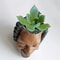 Creative Face Planter Pot Decorative Resin Succulent Planter For Indoor Garden Decor 3