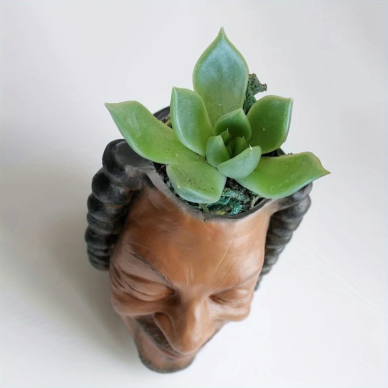 Creative Face Planter Pot Decorative Resin Succulent Planter For Indoor Garden Decor 3