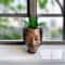 Creative Face Planter Pot Decorative Resin Succulent Planter For Indoor Garden Decor 0