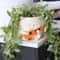 Guitar Planter Succulent Flower Pot Cute Desk Decor For Home Office 1