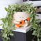 Guitar Planter Succulent Flower Pot Cute Desk Decor For Home Office 1