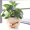 Guitar Planter Succulent Flower Pot Cute Desk Decor For Home Office 0