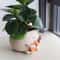 Guitar Planter Succulent Flower Pot Cute Desk Decor For Home Office 2