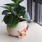 Guitar Planter Succulent Flower Pot Cute Desk Decor For Home Office 2