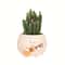Guitar Planter Succulent Flower Pot Cute Desk Decor For Home Office 3