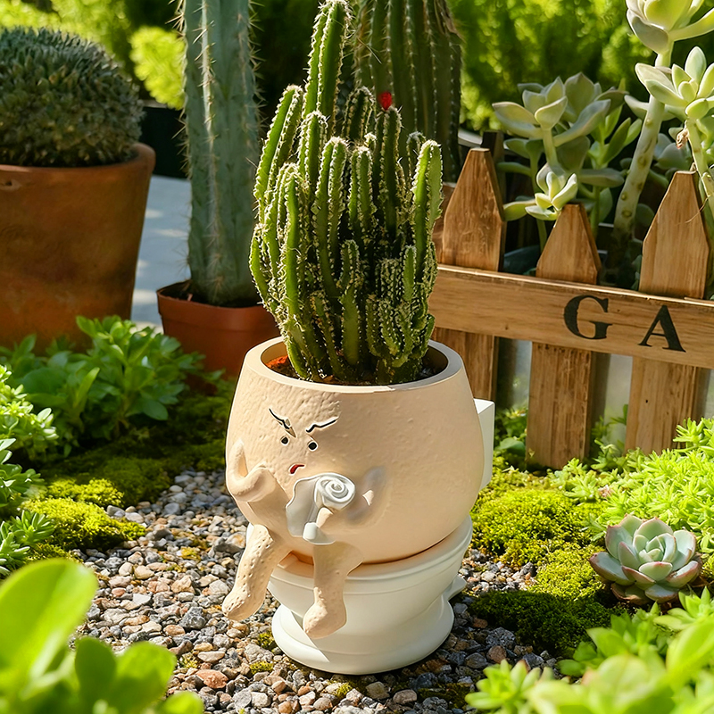 Funny Toilet Succulent Planter Cute Desk Plant Pot Decor 2