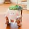 Swing Face Succulent Planter Cute Hanging Flower Pot For Desk Decor 3