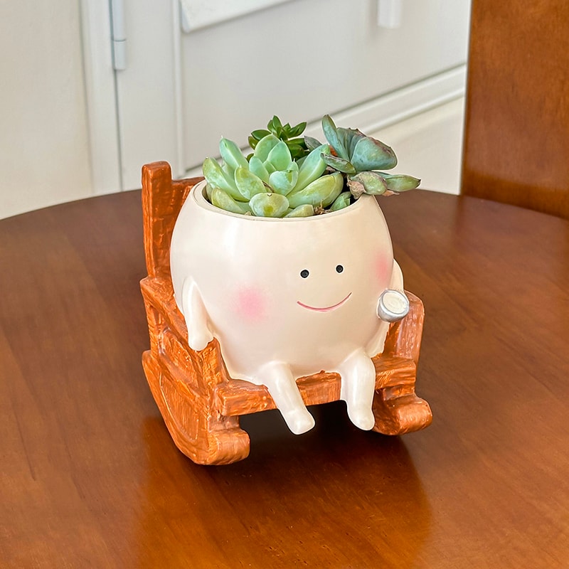 Swing Face Succulent Planter Cute Hanging Flower Pot For Desk Decor 4