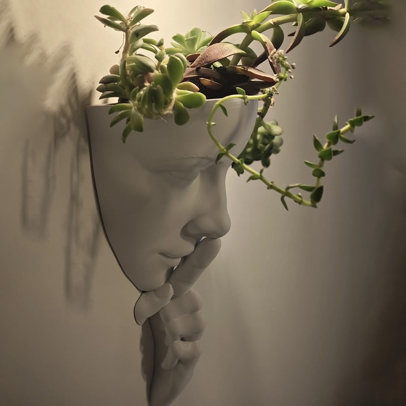 Nordic Face Wall Planter Decor Creative Indoor Plant Wall Holder for Modern Home Styling