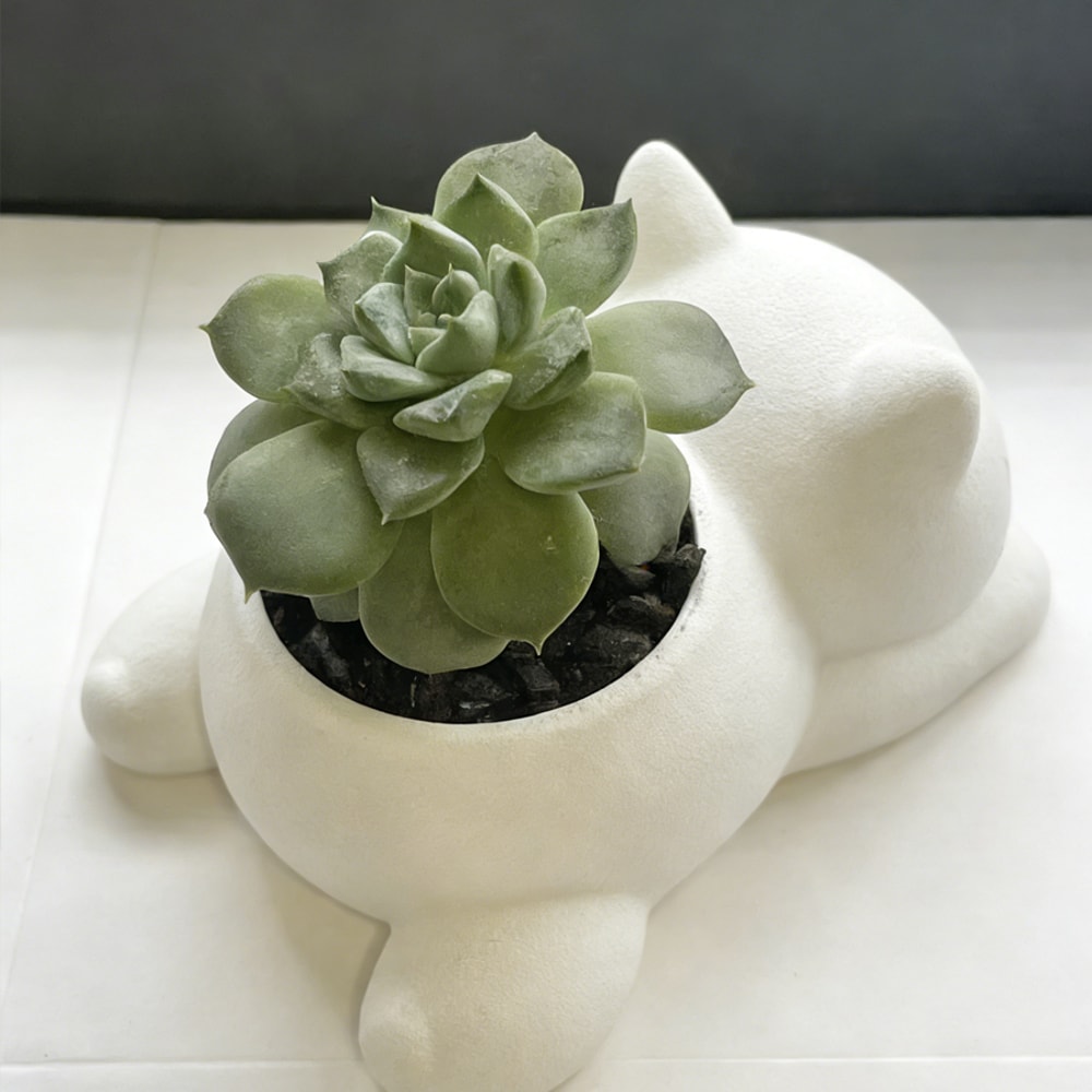Cute Lying Cat Succulent Planter Pot for Home Decor