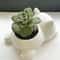 Cute Lying Cat Succulent Planter Pot for Home Decor