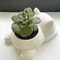 Cute Lying Cat Succulent Planter Pot for Home Decor