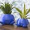 Oddish Succulent Planter Pot Cute Anime Plant Decor For Desk And Home 2