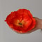 Handmade Giant Poppy Flower Head For Wall Decor Photography Backdrop DIY Floral Display 7