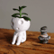 Kodama Tree Spirit Planter Pot Cute Indoor Plant Pot For Succulents Air Plants Decor 4