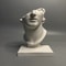 Classic Roman Bust Sculpture Decor Minimalist Plaster Statue for Desk & Home Aesthetic