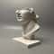 Classic Roman Bust Sculpture Decor Minimalist Plaster Statue for Desk & Home Aesthetic