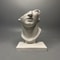 Classic Roman Bust Sculpture Decor Minimalist Plaster Statue for Desk & Home Aesthetic