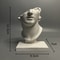 Classic Roman Bust Sculpture Decor Minimalist Plaster Statue for Desk & Home Aesthetic