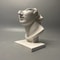 Classic Roman Bust Sculpture Decor Minimalist Plaster Statue for Desk & Home Aesthetic