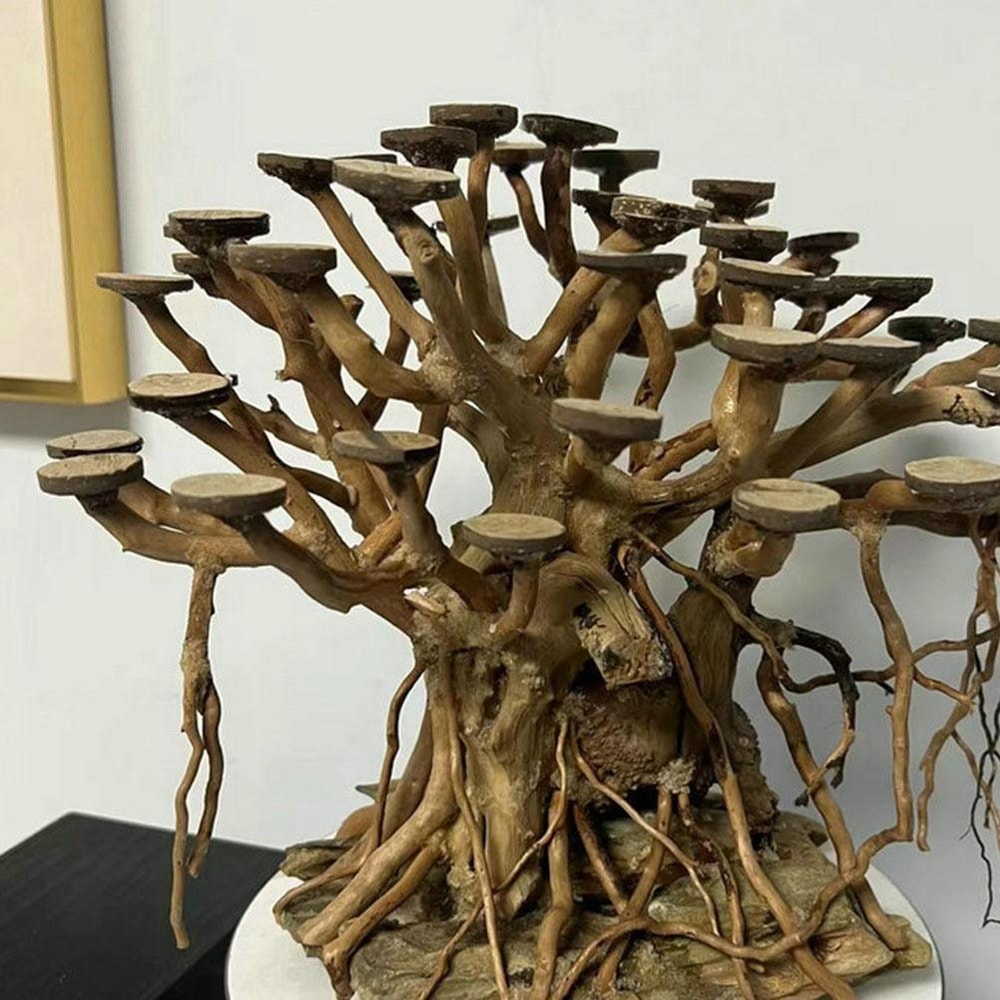 Natural Coconut Shell Aquarium Decor Discs For Fish Tank Ornaments Crafts 1