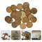 Natural Coconut Shell Aquarium Decor Discs For Fish Tank Ornaments Crafts 3