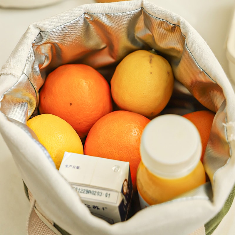 Japanese Canvas Lunch Bag Insulated Portable Tote For Work And School 5