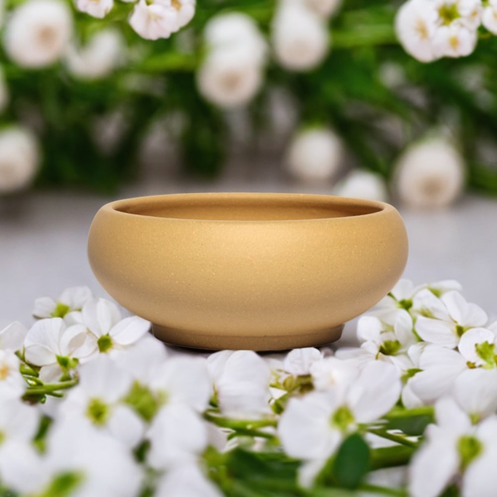 Red Stoneware Succulent Planter Pot With Drainage Hole For Indoor Outdoor Plants 0