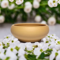 red stoneware succulent planter pot with drainage hole for indoor outdoor plants