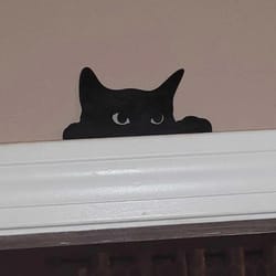 wooden cat door topper rustic over door decor for cat lovers