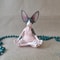 Zen Sphynx Cat Buddha Figurine Meditation Yoga Garden Decor Statue 4