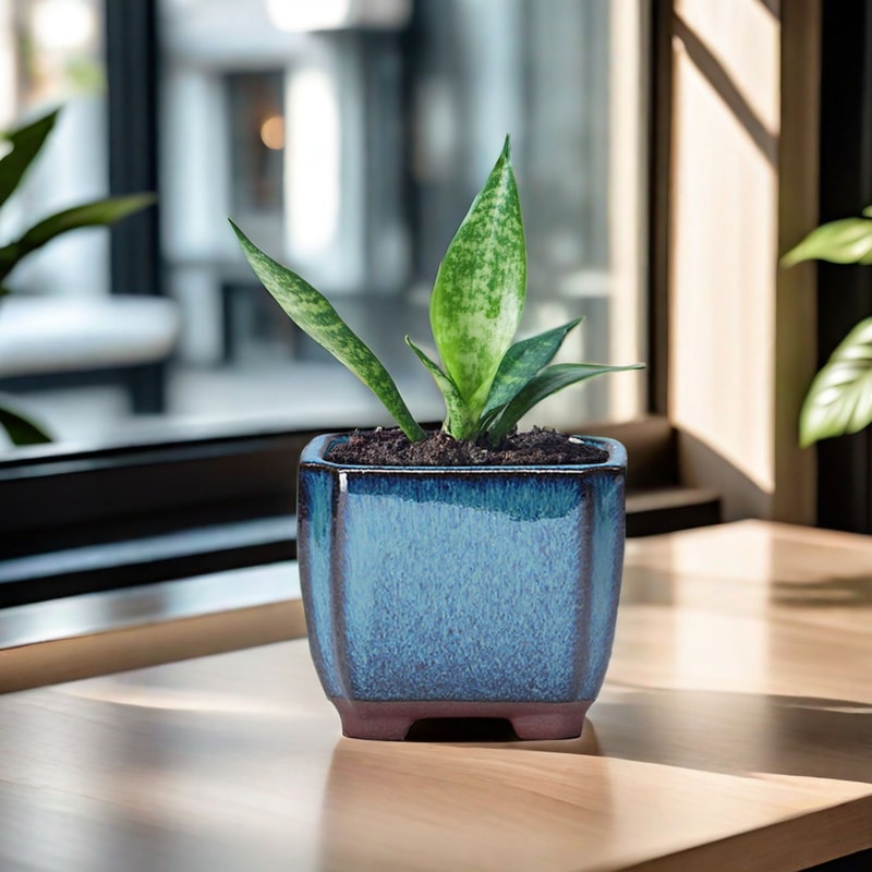 Ceramic Succulent Planter with Drainage Hole & Ventilation for Indoor Outdoor Plants